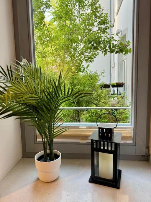 Gemuetliches Apartment Im Herzen Detmolds 外观 照片