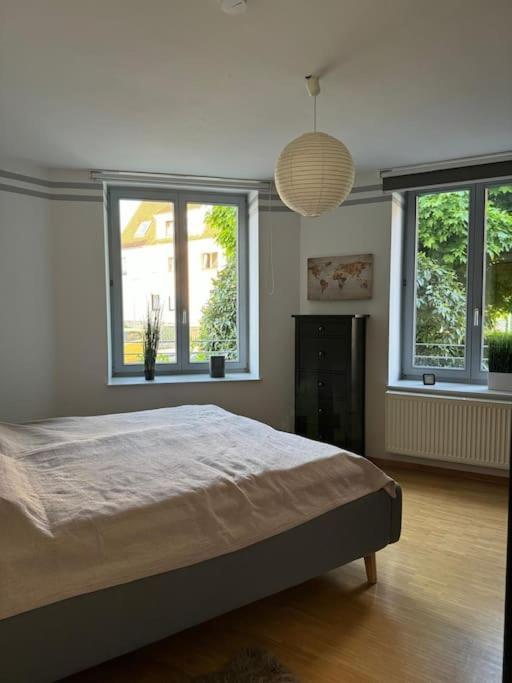 Gemuetliches Apartment Im Herzen Detmolds 外观 照片